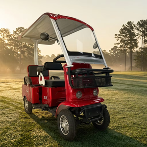 Nouveau Chariot de <span class=keywords><strong>Golf</strong></span> Électrique S9 2026 à <span class=keywords><strong>4</strong></span> Roues, 2 Places, 60V 650W, Volant, Siège Arrière Rabattable, Coffre de Transport, Carrosserie ABS, Certifié CE - Product Image 1