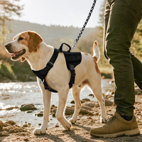 Nouveau Harnais Tactique Professionnel pour Chien en Nylon Robuste et Respirant avec Poignée Solide et Accessoires Métalliques