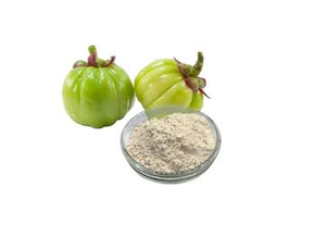 Extracto de Fruta de Garcinia Cambogia Natural en Polvo, Ingrediente Botánico Herbal Premium para Formulaciones Dietéticas y de Bienestar - Product Image 3