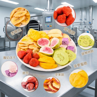 FDG-0.5 HUARAN Home Commerciële Kleine Mini Vriesdroger Vacuüm Lyofilisator Vriesdroogmachine voor Voedsel, Fruit en Groenten