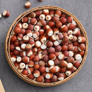 Qian Shi doğal Gorgon Euryale Semen Herb ales kurutulmuş Gorgon meyve ot baharat için - Product Image 4