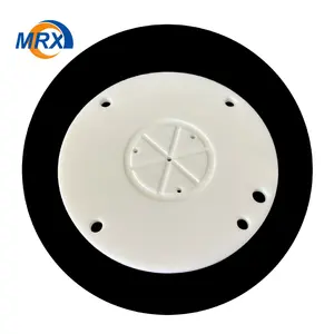 Custom Semiconductor Ceramic Disc Precision Processing Zirconia Ceramic Plate