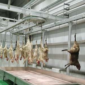 Equipo Moderno para Sacrificio de Cabras, Procesamiento de Ovejas y Corderos, Preparación de Carne - Product Image 2