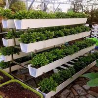 Système de culture hydroponique verticale pour fraises en serre, canal NFT en PVC, gouttière hydroponique pour la plantation de fraises en ferme