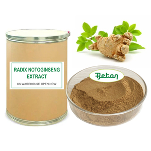 Bột chiết xuất rễ nhân sâm không gân chất lượng cao, nguyên chất, tự nhiên, hàm lượng Triterpenes Saponin 10%-80% - Product Image 1