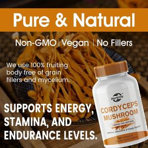 Suplemento Herbal de Venta Caliente OEM ODM, Extracto de Cordyceps Sinensis, Cápsulas de Hongo Cordyceps - Product Image 4