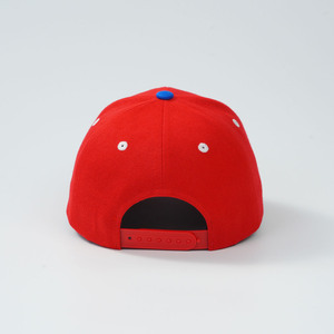 Gorra de Béisbol Tricolor con Logotipo Personalizado, Bordado con Patrón de Dólar, Fabricante BSCI para Marcas Urbanas, MOQ 50, Muestra en 3 Días - Product Image 4