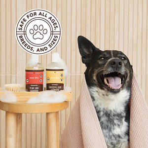 Private Label <strong>Itchy</strong> <strong>Dog</strong> <strong>Shampoo</strong> Natural <strong>Shampoo</strong> <strong>for</strong> Cleaning <strong>Dog</strong> Dry <strong>Skin</strong> Treatment and <strong>Dog</strong> Itch Relief <strong>Shampoo</strong> - Product Image 6