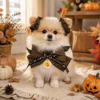 Vêtements personnalisés pour animaux de compagnie, costume d'Halloween pour chien et chat, ensemble collier à nœud papillon et nœud pour cheveux en forme d'aile de chauve-souris, tenue de cosplay pour chiot et chaton, vente en gros OEM