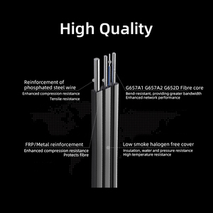 Câble à <span class=keywords><strong>fibre</strong></span> optique personnalisé 1 2 4 cœurs Câble de dérivation intérieur et extérieur Câble téléphonique Gjyxch Ftth - Product Image 2