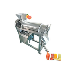 Grande promotion : Extracteur de jus à vis, presse-fruits spirale, machine à pulper les fruits