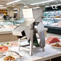 Broyeur à glace électrique professionnel, machine à broyer la glace, broyeur de blocs de glace