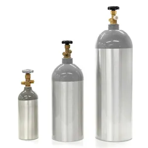 Hochdruck-10-Liter-Steil-CO2-Gazzylinder für industriellen Gusanwendung mit Pi-Zulassung