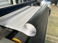 Machine d'extrusion de membrane imperméable en HDPE/PP, boîte de vitesses à vis simple automatique pour la fabrication de plaques de haute précision