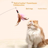 Jouet pour chat, baguette à plumes avec longue tige en fil d'acier, petite clochette, durable, résistant aux morsures, pour chats et chatons