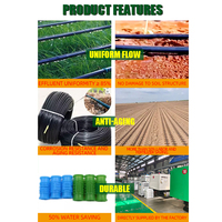 Système d'Irrigation Goutte à Goutte Complet, Tuyau d'Irrigation Goutte à Goutte en Plastique de 16mm pour l'Exportation en Conteneur et Autres Arrosages