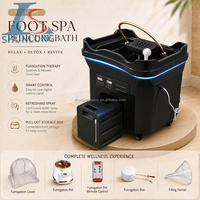 Bac à shampoing portable noir pour spa capillaire, réservoir d'eaux usées 60L, circulation d'eau avec chauffage, sans plomberie, lavabo de salon sans tuyauterie