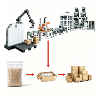 Palettiseur automatique, bras collaboratif, empileur, robot industriel pour l'emballage de cartons et de bouteilles, emballageur de caisses, machine d'emballage de fin de ligne