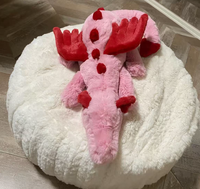 Peluche Dragon en Coton Biologique, Jouet Doux et Rembourré, Dragon du Ciel, Coussin Lesté pour Enfants, Cadeau
