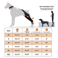 Support de genouillère professionnel pour chien avec matériau réglable en Spandex et nylon Soulagement de la douleur Utilisation quatre saisons-Conrida CD002
