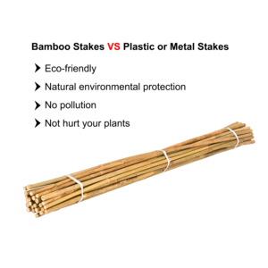 Bienvenido a <span class=keywords><strong>comprar</strong></span> postes <span class=keywords><strong>de</strong></span> bambú rectos <span class=keywords><strong>de</strong></span> Fujian para su granja - Product Image 3