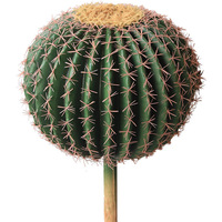 Cactus artificiel haut de gamme en PE bionique, réaliste, floqué, avec capuchon doré, grande taille, faux cactus baril d'intérieur, vente en gros