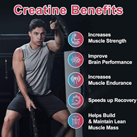 Gummies de Créatine Monohydrate 5600mg Sans Sucre Croissance Musculaire Performance Végétalien OEM Marque Privée 120 Unités