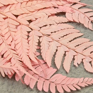 Flores Eternas Secas, Hojas de Helecho Doradas y Plateadas de 50 cm, Decoración de Bodas, Decoración de Salones, <span class=keywords><strong>Arreglos</strong></span> Florales Secos - Product Image 2