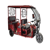 Navette électrique à trois roues, tricycle touristique rose pour zone touristique et hôtel