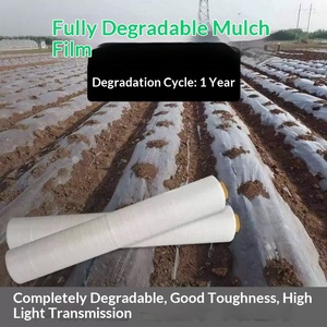 <span class=keywords><strong>Film</strong></span> de paillage PE entièrement biodégradable, s'adapte au cycle de croissance des cultures, résout la pollution blanche, améliore la fertilité - Product Image 3