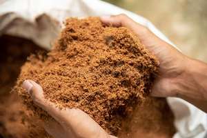 Style séché en poudre de coquille de noix de coco de haute qualité fabriqué au Vietnam-pour le carburant et les additifs prêts pour la vente en gros en stock - Product Image 3