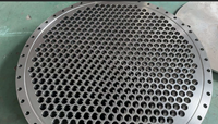 Evaporador Industrial de Circulación Forzada de 500 LPH para Jarabe de Dátiles, Concentrador Controlado por PLC para el Procesamiento de Pasta de Frutas de Alta Viscosidad