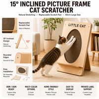 Griffoir pour chat de style cadre avec insert en carton remplaçable, planche à gratter inclinée à 15 degrés pour chats d'intérieur
