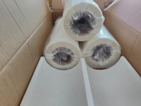 Film DTF Premium 30cm*100m, film brillant pour transfert DTF, film en rouleau pour impression par transfert thermique sur t-shirt