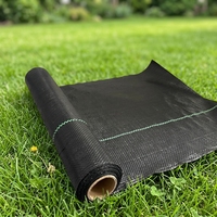 Toile de paillage écologique en PP pour la protection des sols agricoles