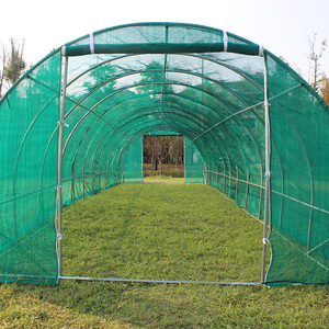 Tienda de jardín Polytunnel Orangery al por mayor fácil DIY Hobby Casa de flores invernadero marco metálico madera tratada a presión tipo natural - Product Image 5