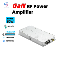 Module amplificateur de puissance RF Lora à large bande BLOCKWAVE personnalisé 50W 1100-6000MHz GaN pour drone FPV, amplification du signal anti-UAV
