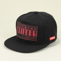 Gorra de Béisbol y Gorra Snapback con Logotipo de Goma Personalizado