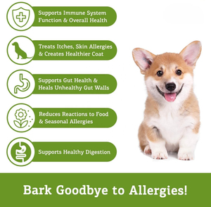 Golosinas Masticables Orgánicas Sin GMO de Primera Calidad para Perros, para el Alivio del Dolor, Golosinas Naturales para Cachorros, Sin Granos, Altas en Proteínas - Product Image 3