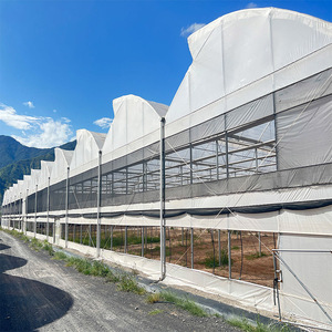 Serrated Roof Multi-Span Plastic Film <strong>Greenhouse</strong> for Vegetables Flowers, Tomato Cucumber Lettuce Growth, <strong>Poly</strong> Tunnel - Product Image 2