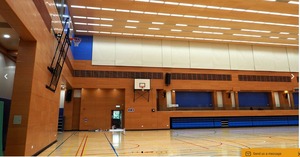 Precio de fábrica Panel acústico de madera Diseño perforado para una absorción de sonido óptima - Product Image 2