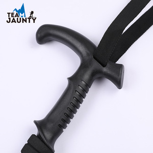 Bâton de randonnée Team Jaunty en alliage d'aluminium avec poignée en T et verrouillage interne pour la randonnée en extérieur - Product Image 1