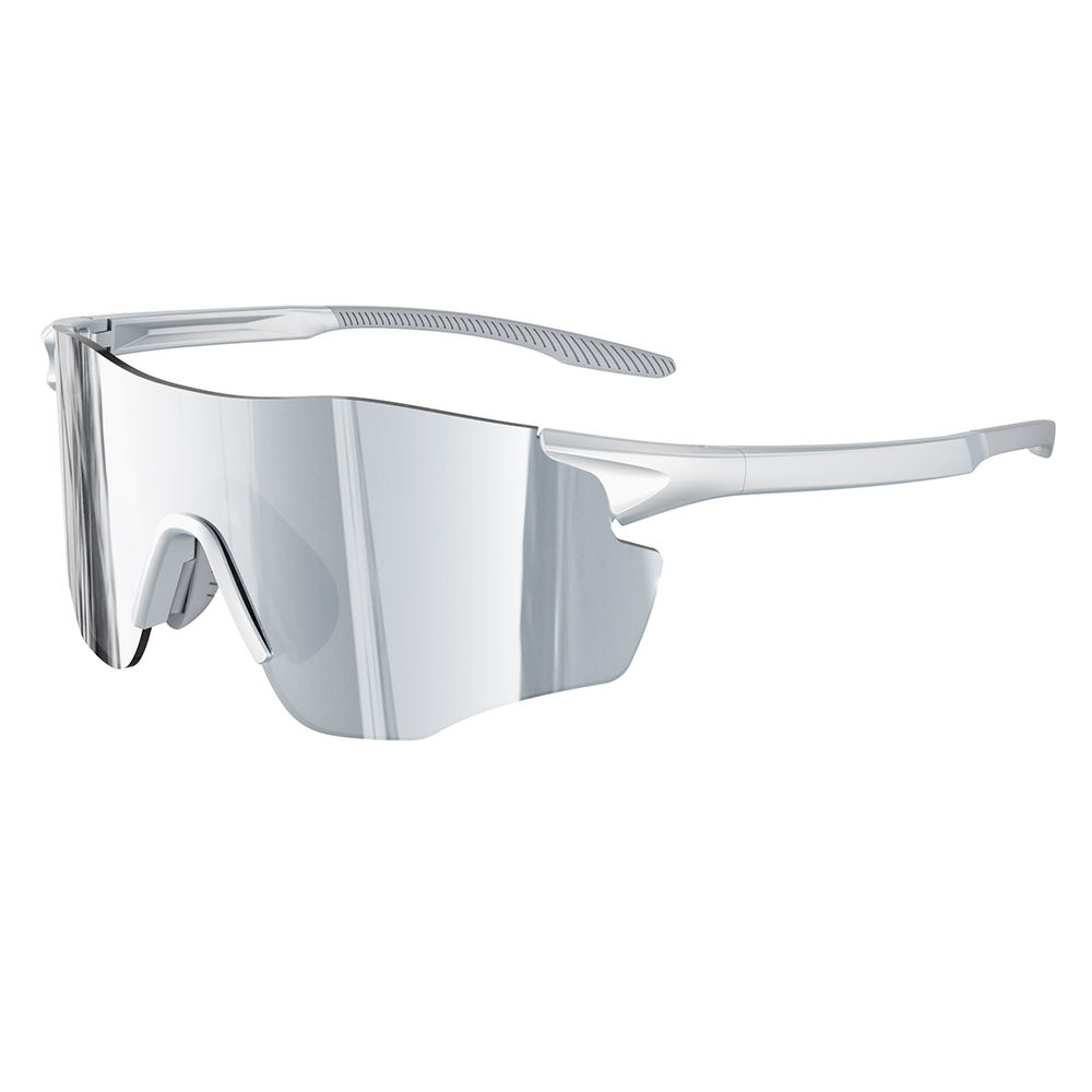 Dumb car paint silver gray white mercury plating