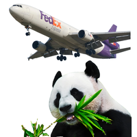Expédition express économique depuis la Chine, le Japon et Singapour vers l'Asie de l'Ouest via FedEx DHL UPS-Agent Purchasing Solutions