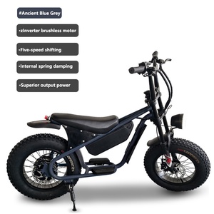 Bicicleta Eléctrica de 16 Pulgadas con Llantas Anchas de 48V, Estilo Retro, Motor en la Rueda Trasera, Cuadro de Acero de Alto Carbono, Frenos de Disco, para Adultos - Product Image 2