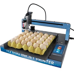 Impresora de inyección de tinta automática para codificación de huevos de gallina con pantalla táctil inteligente de un solo cabezal para logotipos y códigos de barras - Product Image 1