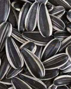 Semillas de girasol directas de granja de Egipto de alta calidad Estilo popular Venta caliente Producto agrícola estrictamente supervisado - Product Image 2