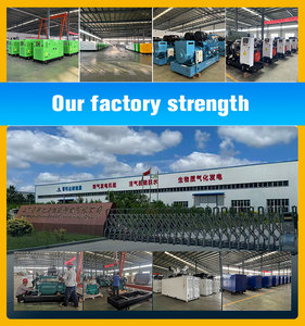Grupo Electrógeno de Gas Natural Silencioso en Contenedor de 800kW, 1000kVA, Insonorizado, con [Marca del Motor] para Central Eléctrica - Product Image 5