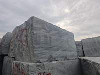 Bloc de granit gris de Shandong TY, coupé à la machine, écologique, solution globale moderne, support technique en ligne, Villa Park
