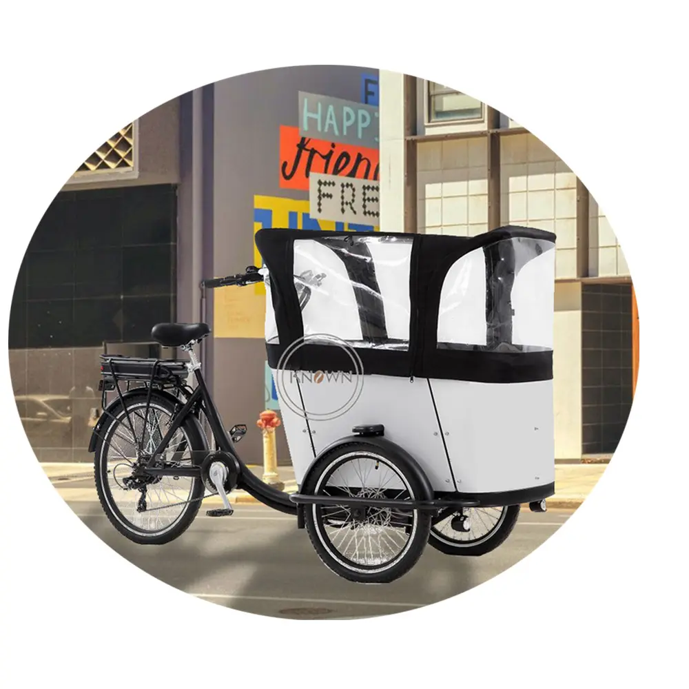 OEM Mini Passenger Electric Tricycle Family Using 3 Wheel Car for Sale Adults Motorized Tricycles with COC EEC